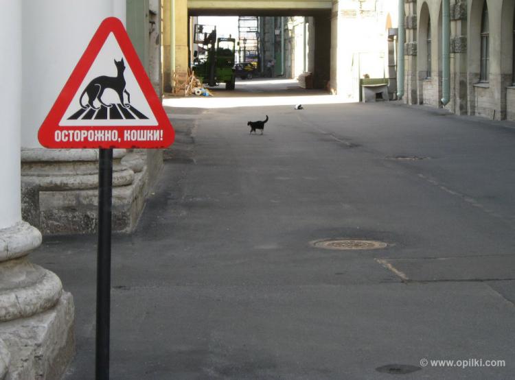 В Петербурге трепетно относятся к животным