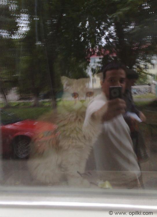 Ностальгия по лету