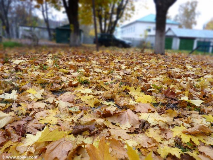 Осенене настроение