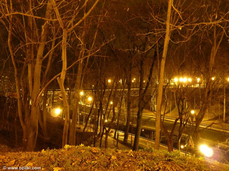 Вечер, деревья и озеро